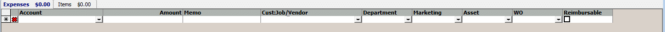 Write Check - Expense Tab