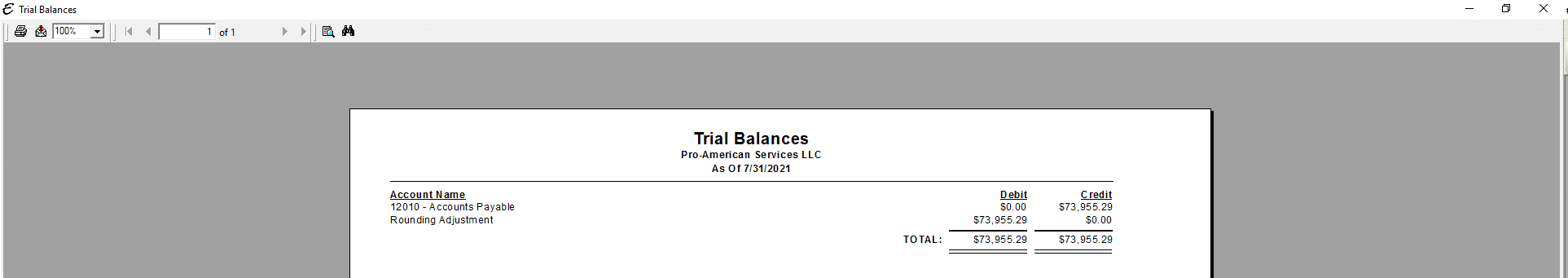 Trial Balance Report PDF
