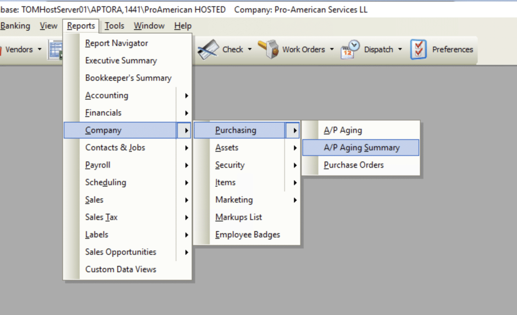 A/P Aging Summary File Path