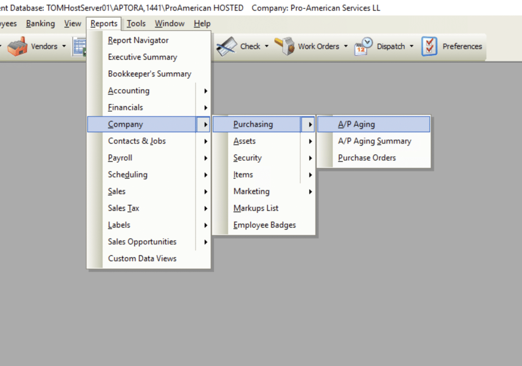 A/P Aging File Path